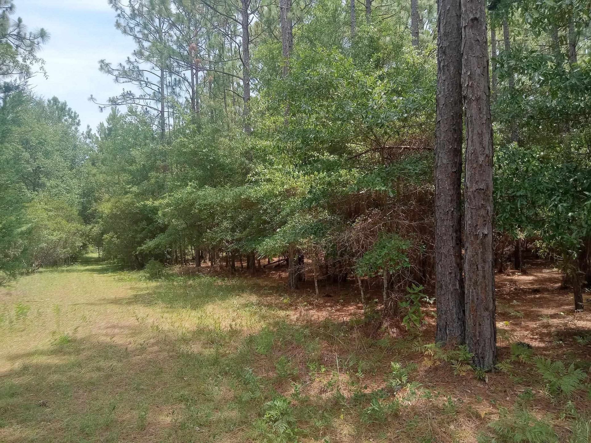 Lot 1038 Kilsock Dr. Photo 5