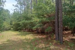 Lot 1038 Kilsock Dr. photo 4