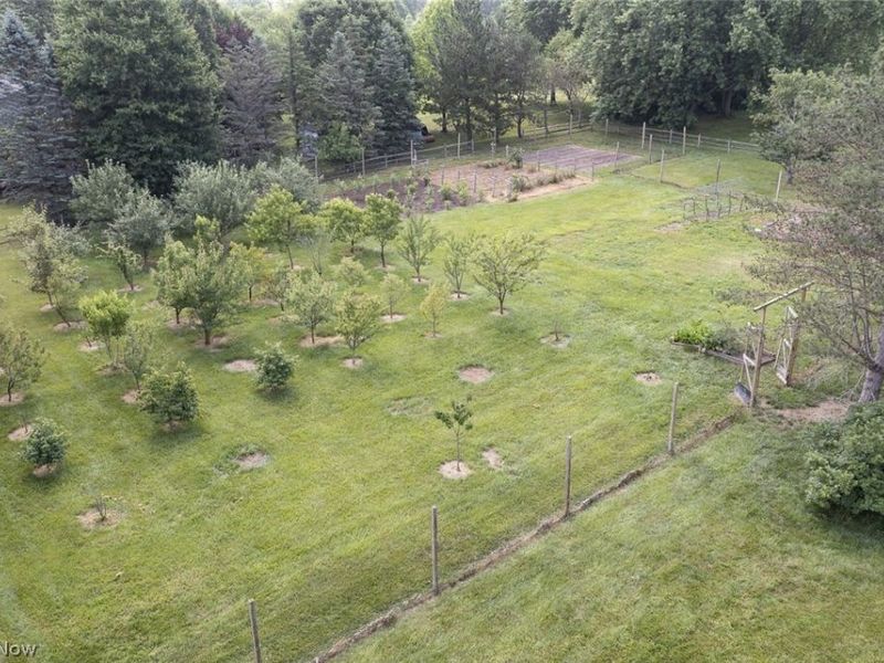 3815 W Sweet Briar Drive, Medina, OH 44256 Photo 6