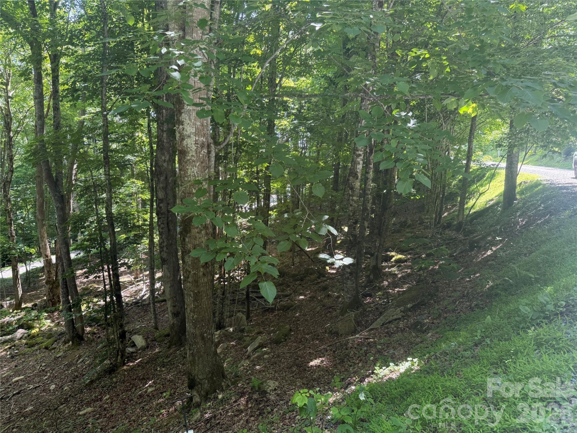 200 Wild Daisy Road, Beech Mountain, NC 28604 Main Photo