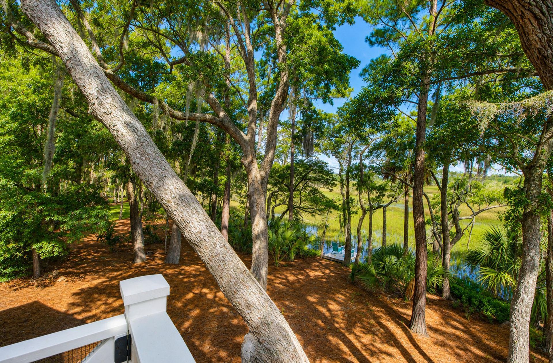 227 Palmetto Bluff Photo 73