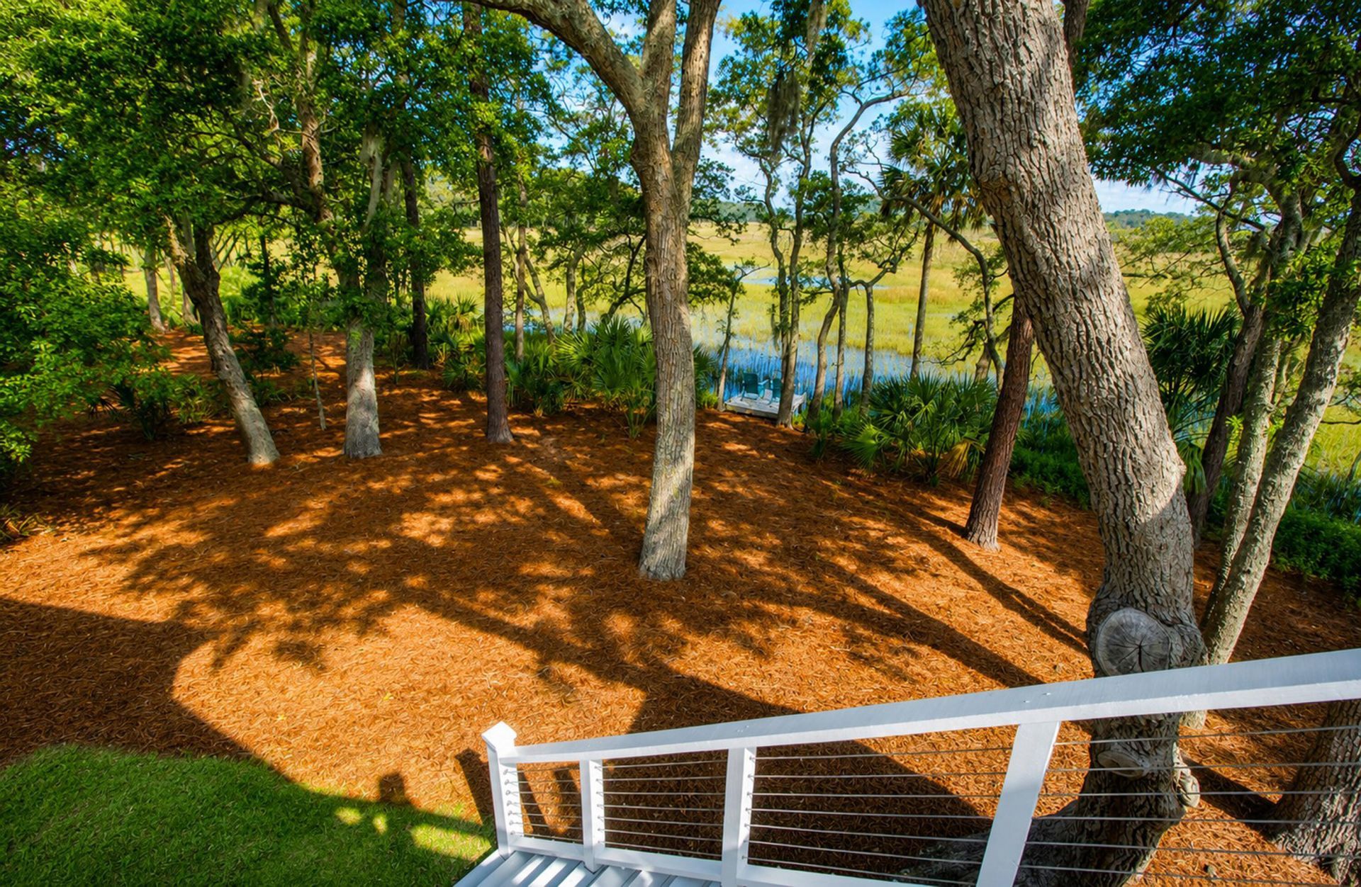 227 Palmetto Bluff Photo 74