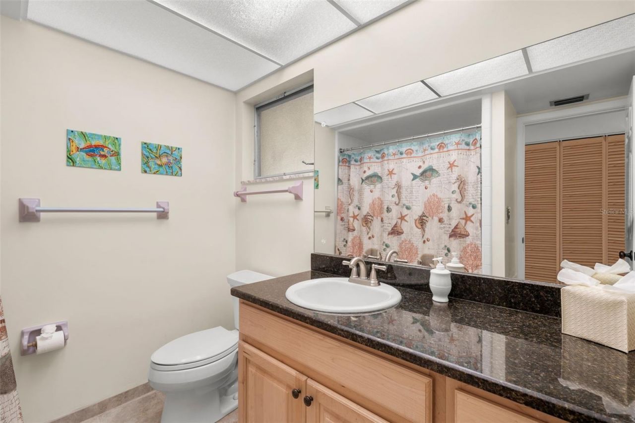 7940 3rd Street N, Saint Petersburg, FL 33702 Photo