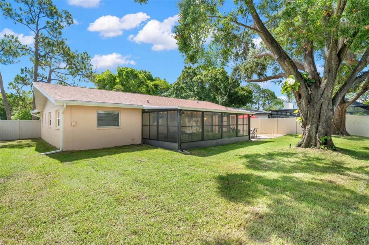7940 3rd Street N, Saint Petersburg, FL 33702 Photo