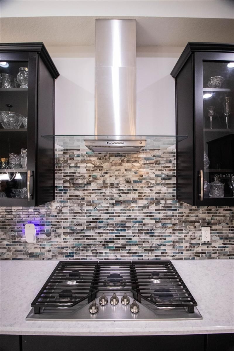 16485 Courtyard Loop, Land O Lakes, FL 34638 Photo