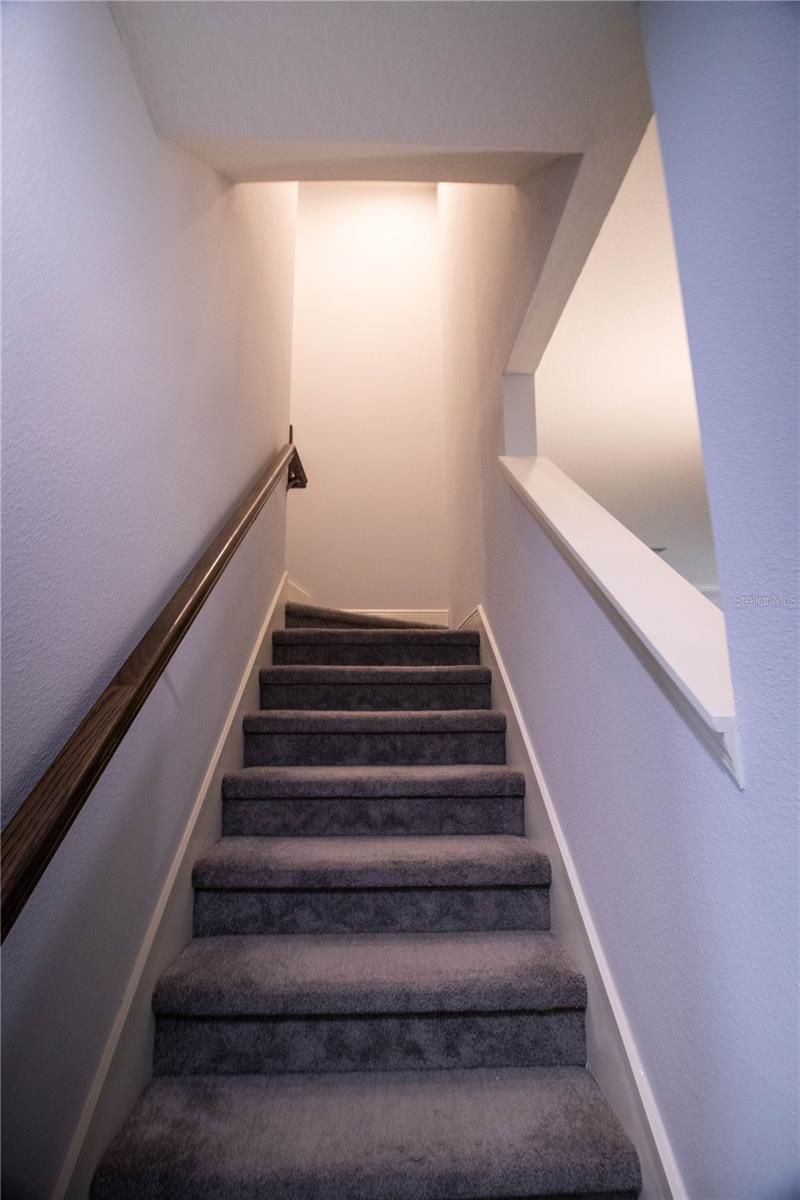 16485 Courtyard Loop, Land O Lakes, FL 34638 Photo