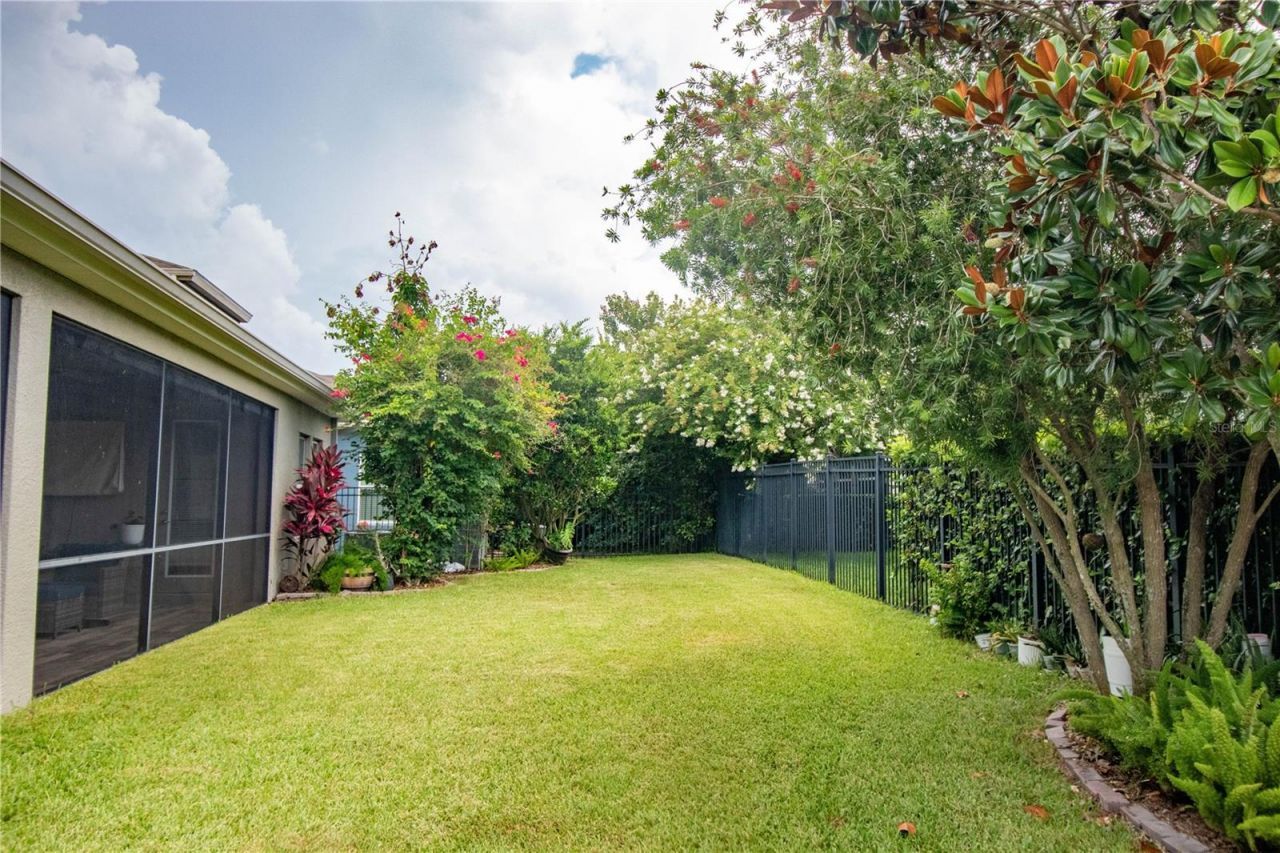 16485 Courtyard Loop, Land O Lakes, FL 34638 Photo