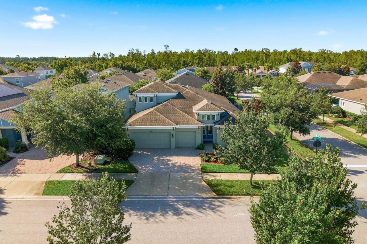 16485 Courtyard Loop, Land O Lakes, FL 34638 Photo