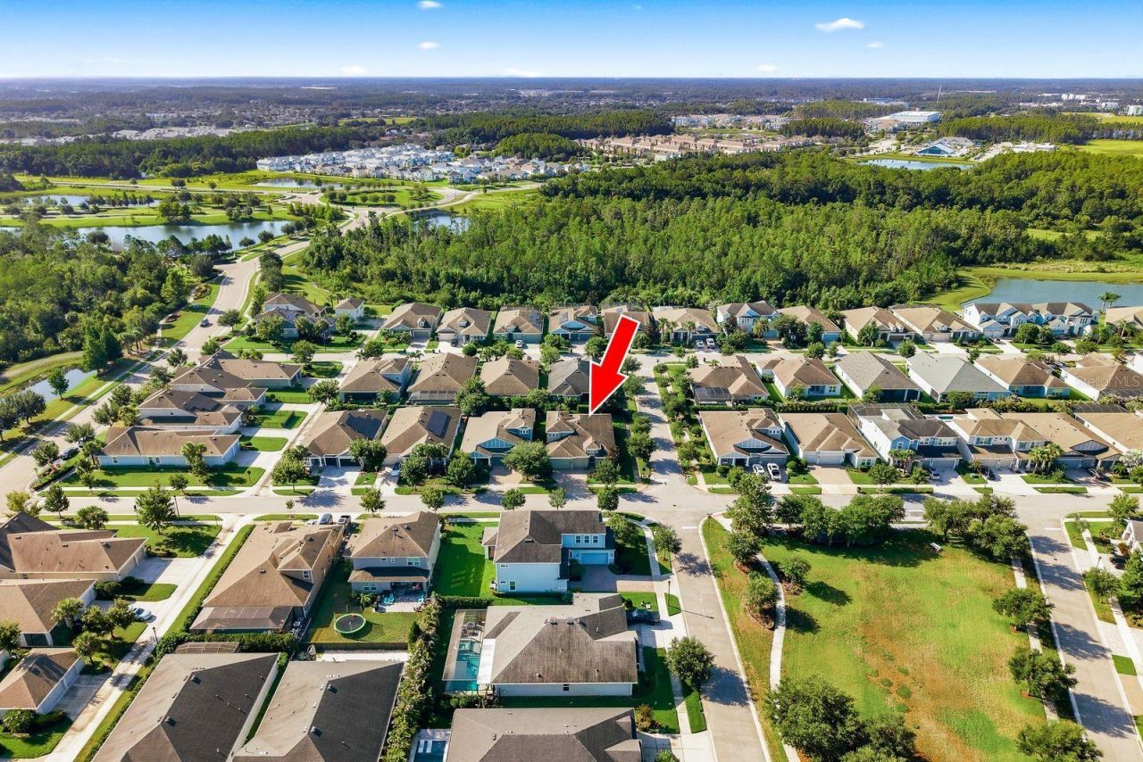 16485 Courtyard Loop, Land O Lakes, FL 34638 Photo
