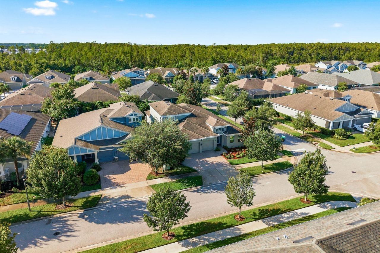 16485 Courtyard Loop, Land O Lakes, FL 34638 Photo