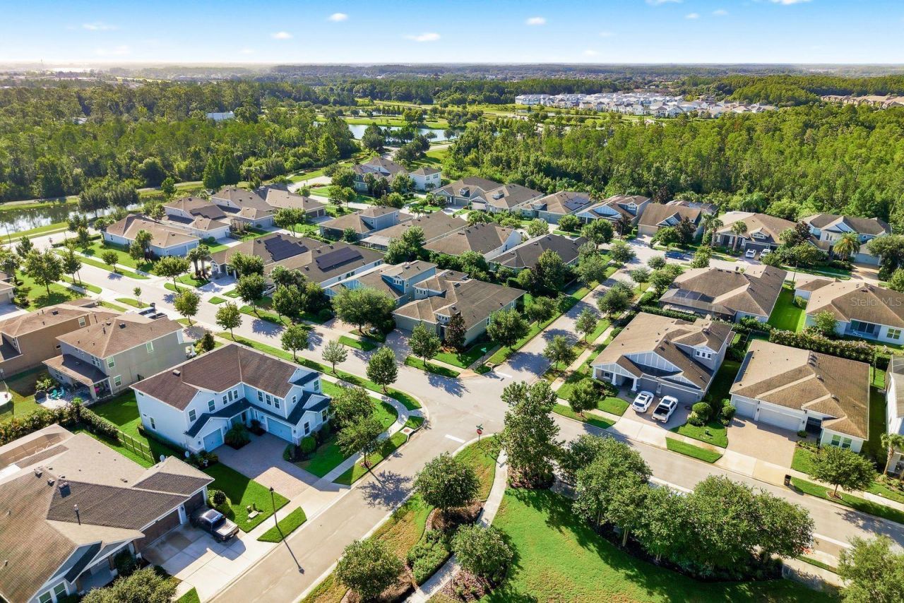 16485 Courtyard Loop, Land O Lakes, FL 34638 Photo
