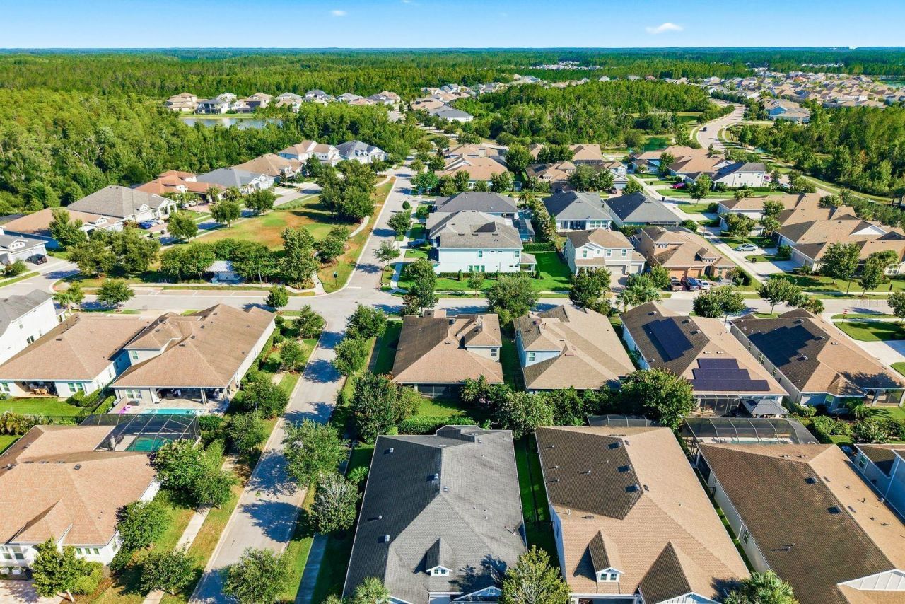 16485 Courtyard Loop, Land O Lakes, FL 34638 Photo