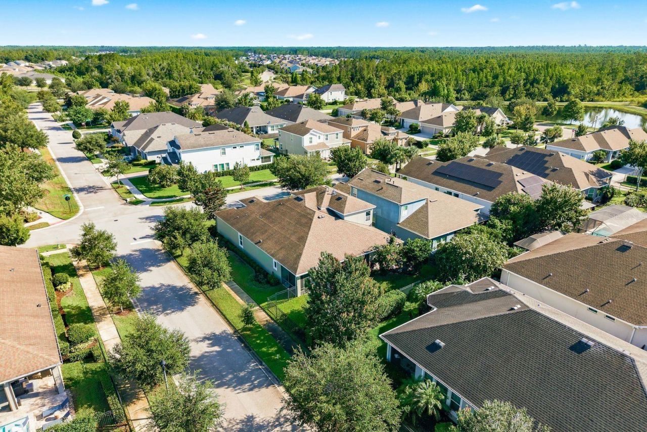 16485 Courtyard Loop, Land O Lakes, FL 34638 Photo