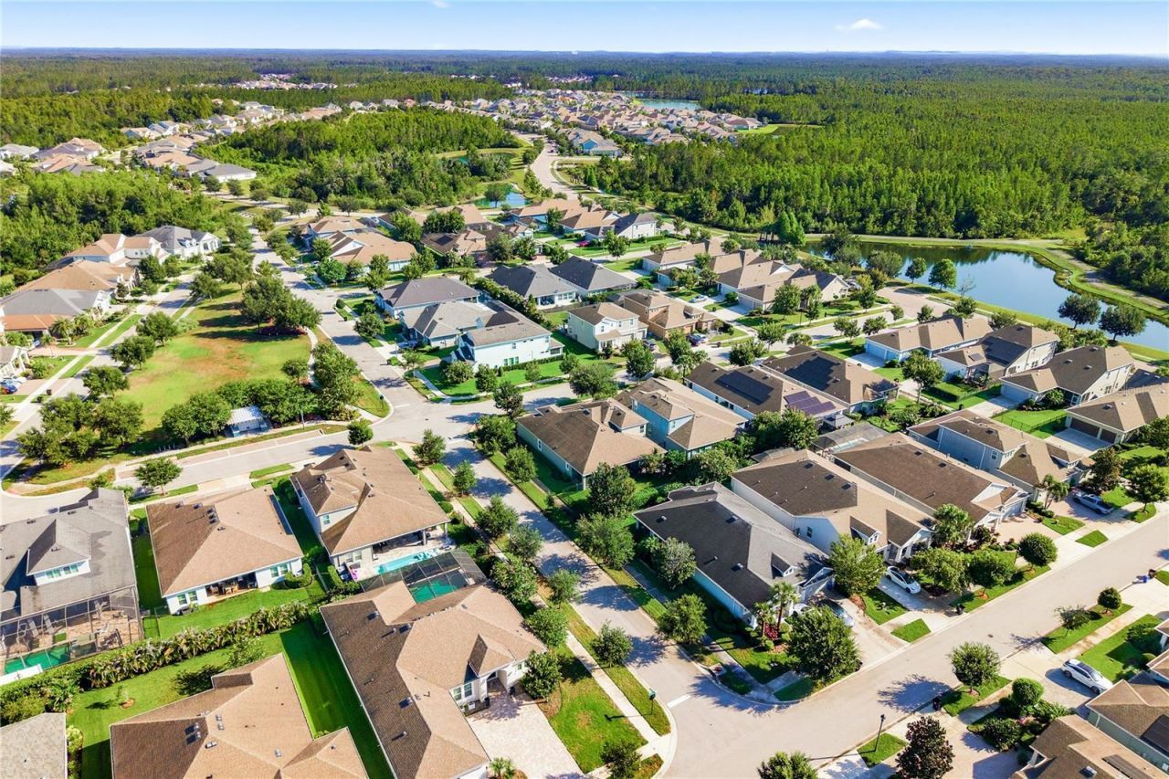 16485 Courtyard Loop, Land O Lakes, FL 34638 Photo