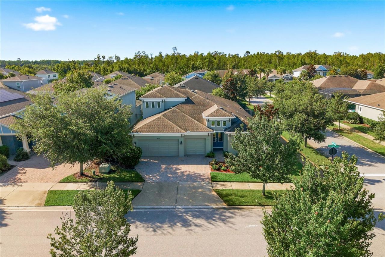16485 Courtyard Loop, Land O Lakes, FL 34638 Photo