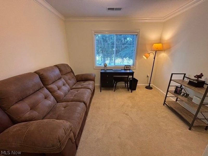 1411 Buckingham Gate Boulevard, Cuyahoga Falls, OH 44221 Photo 20