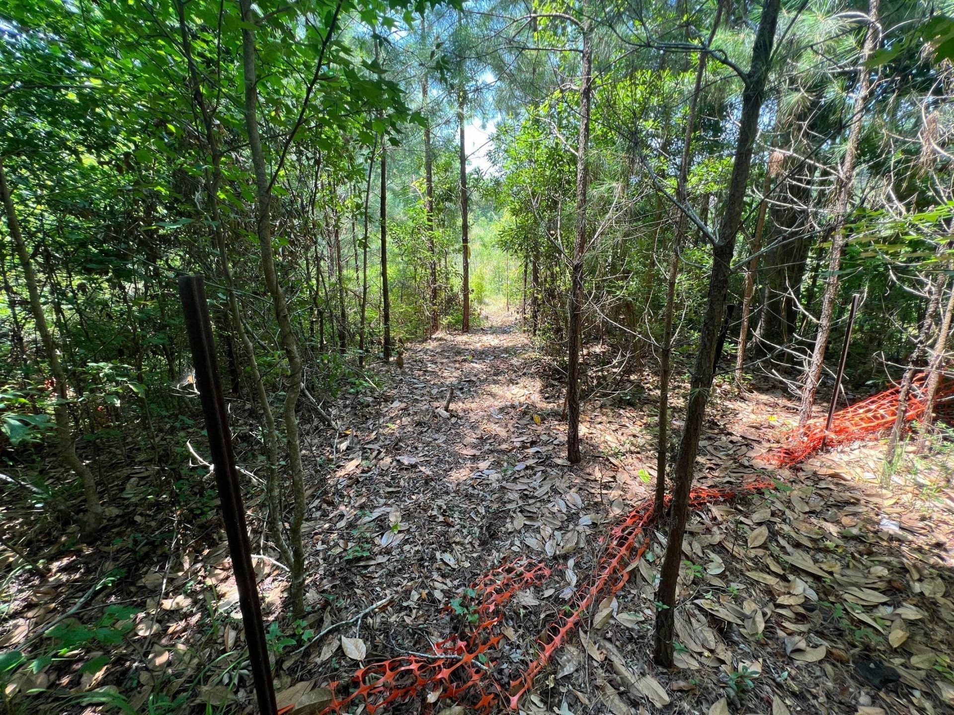 2017 Paul Chavis Lane Charleseton Lane Photo 5