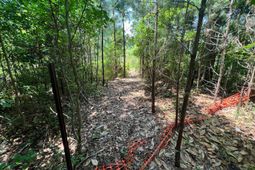 2017 Paul Chavis Lane Charleseton Lane photo 4