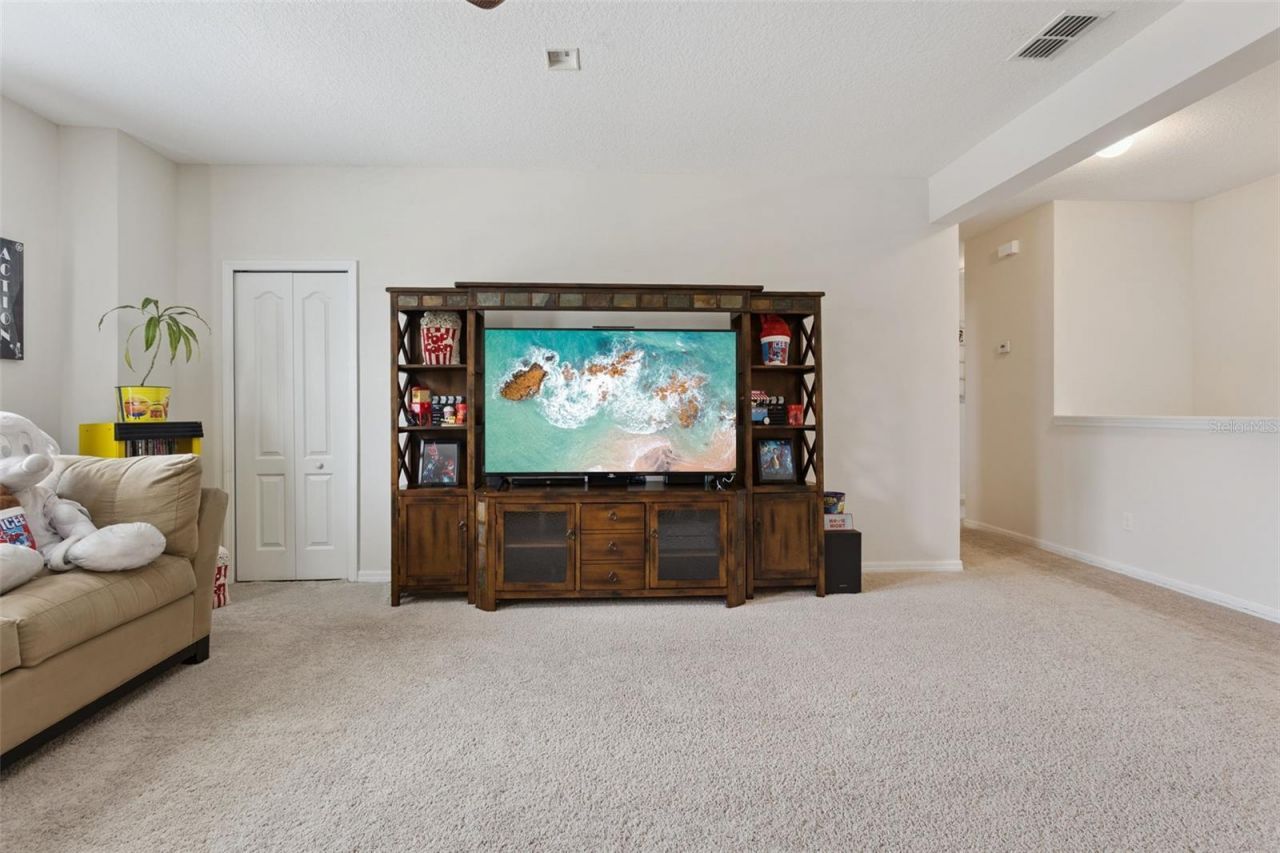 2514 Plumadore Drive, Grand Island, FL 32735 Photo