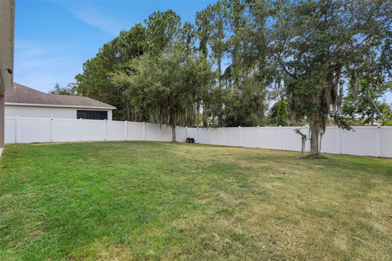 2514 Plumadore Drive, Grand Island, FL 32735 Photo