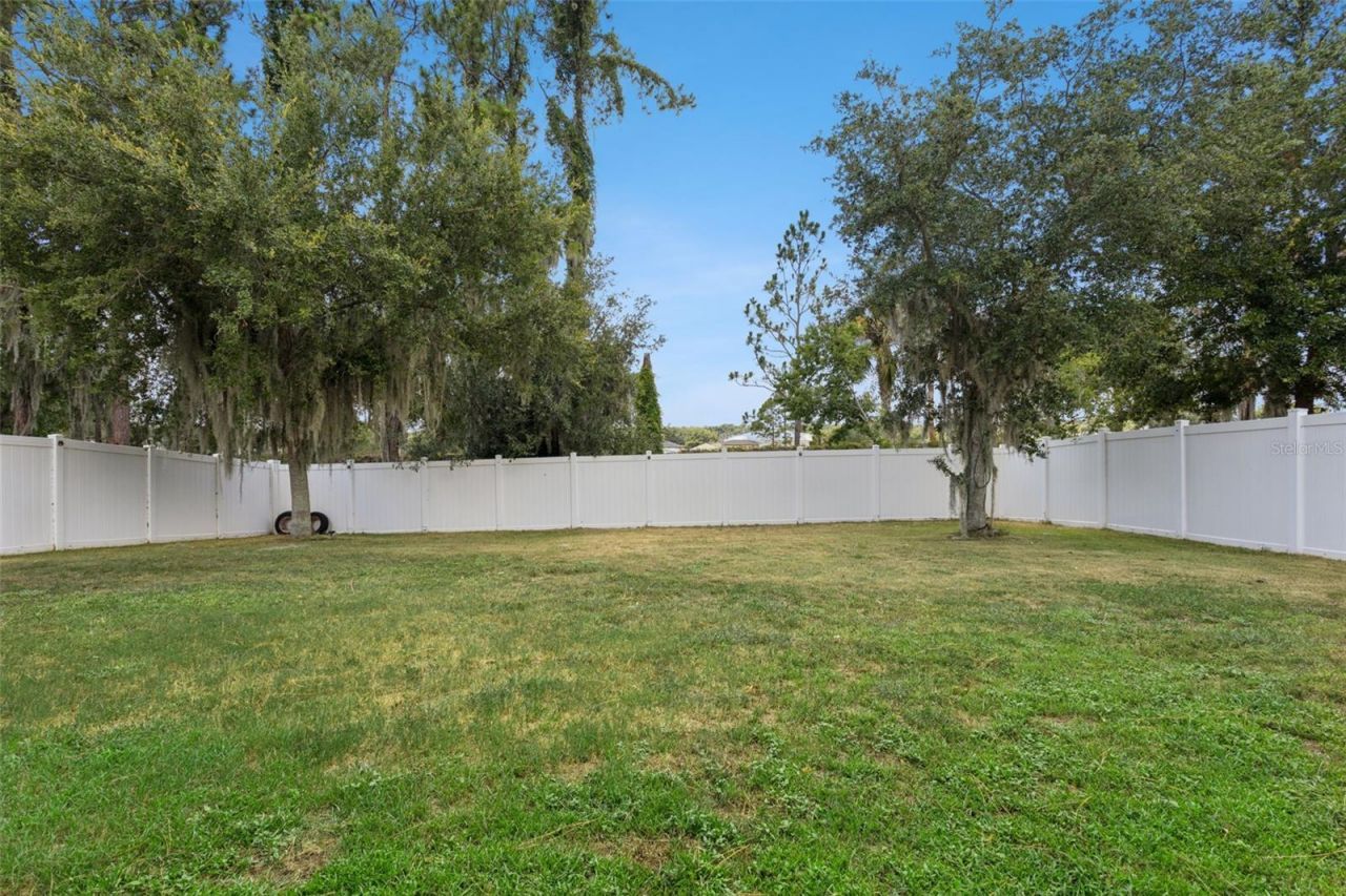2514 Plumadore Drive, Grand Island, FL 32735 Photo