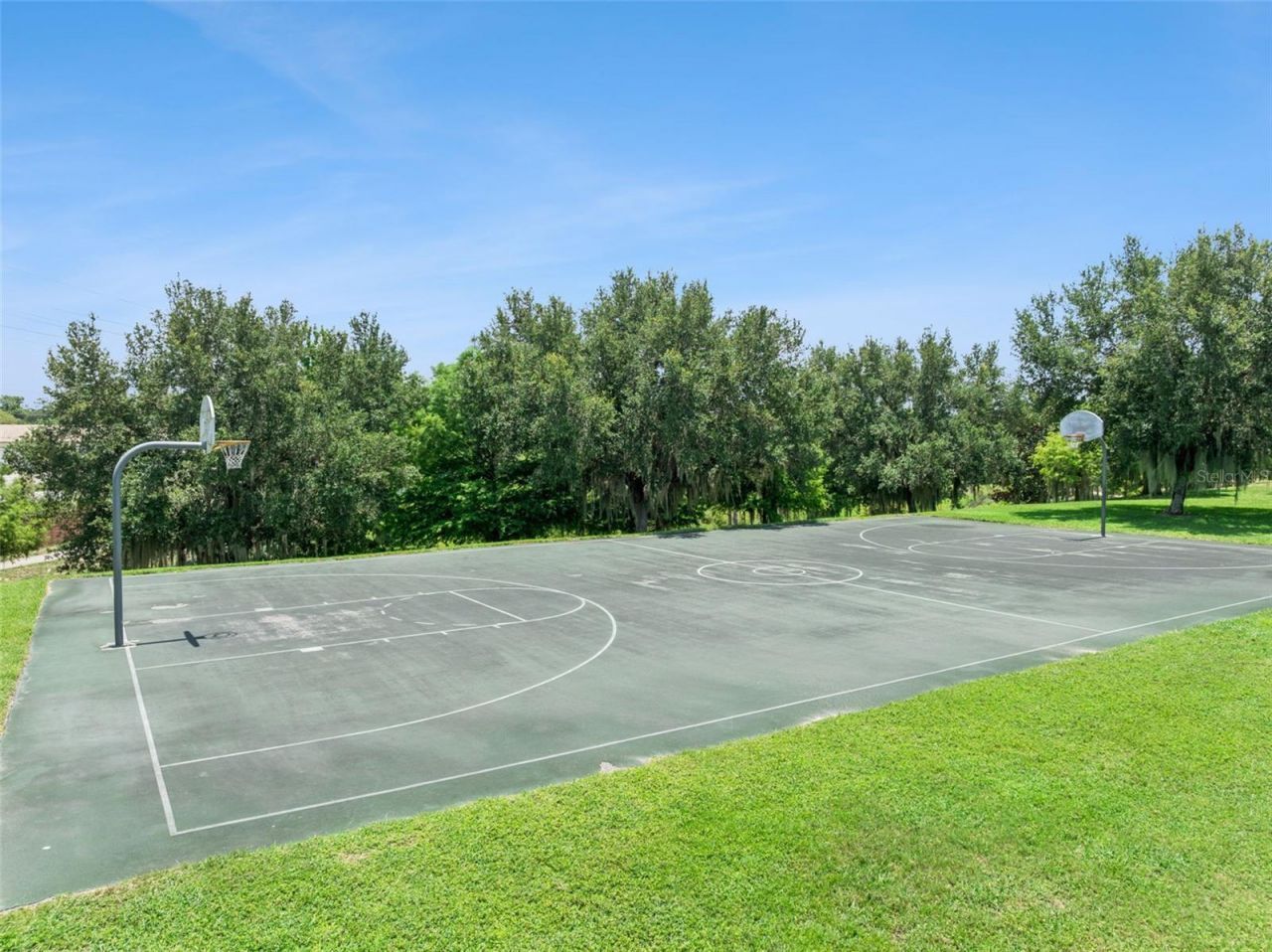 2514 Plumadore Drive, Grand Island, FL 32735 Photo