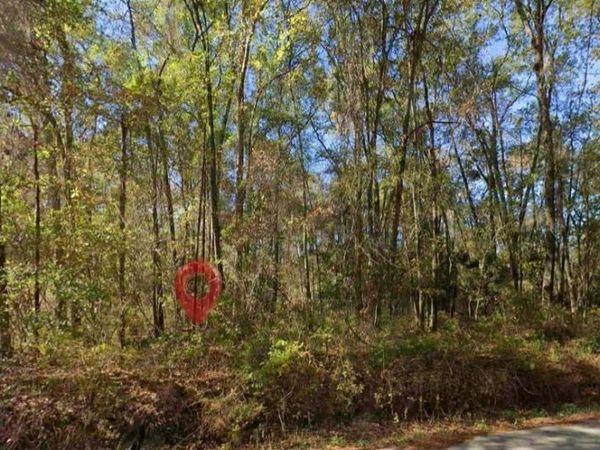 IAMONIA LANDING ROAD , TALLAHASSEE, FL 32312