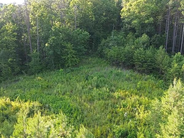 Lot 35 Winding Tr, Vonore, TN 37885