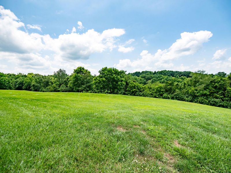 4290 Gardnersville Road, Crittenden, KY 41030 Photo 47