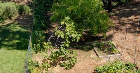 11090 Lakeshore North, Auburn, CA 95602 Photo