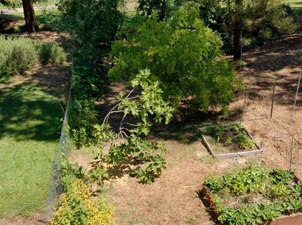 11090 Lakeshore North, Auburn, CA 95602 Photo