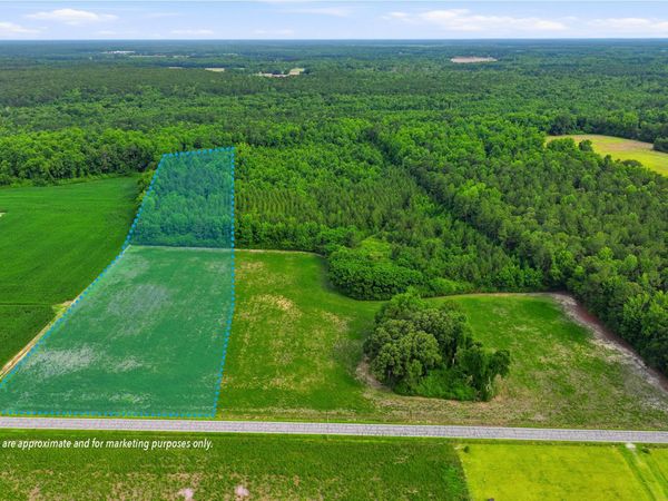 Lot 7 Point Caswell Road , Willard, NC 28478