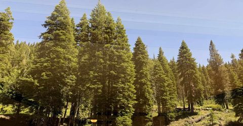 400 Squaw Creek Road, Unit #425, Olympic Valley, CA 96146 Photo