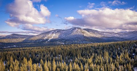 4065 Coyote Fork , Truckee, CA 96161 Photo