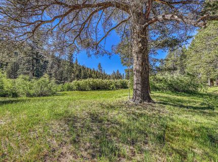 8520 River Road , Truckee, CA 96161 Photo