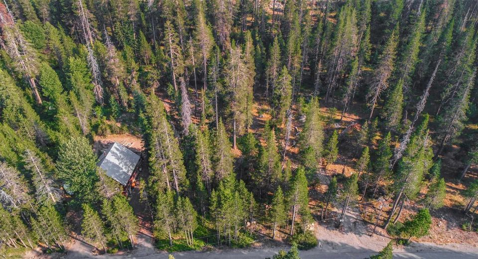51357 Donner Pass Road , Soda Springs, CA 95728 Photo