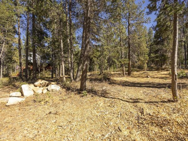 51357 Donner Pass Road, Soda Springs, CA 95728