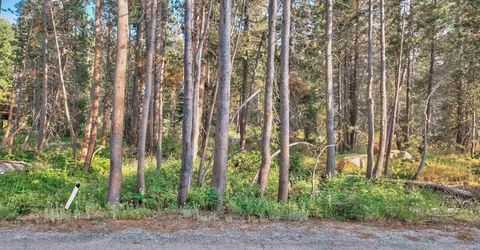 51357 Donner Pass Road , Soda Springs, CA 95728 Photo