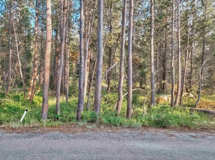 51357 Donner Pass Road , Soda Springs, CA 95728 Photo