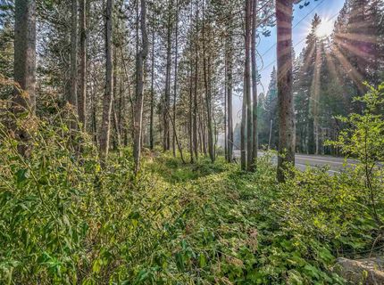 51357 Donner Pass Road , Soda Springs, CA 95728 Photo
