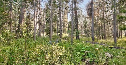 51357 Donner Pass Road , Soda Springs, CA 95728 Photo