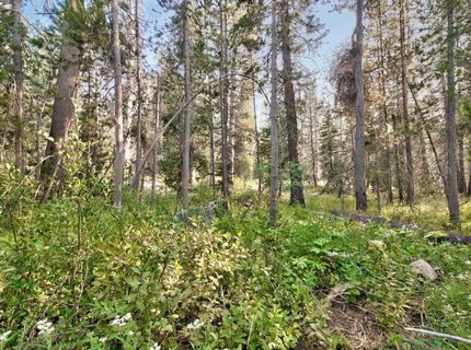 51357 Donner Pass Road , Soda Springs, CA 95728 Photo