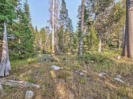 51357 Donner Pass Road , Soda Springs, CA 95728 Photo