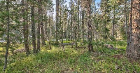 51357 Donner Pass Road , Soda Springs, CA 95728 Photo