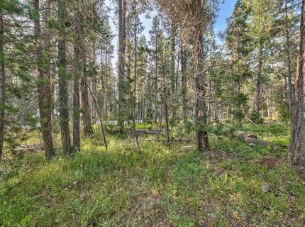 51357 Donner Pass Road , Soda Springs, CA 95728 Photo