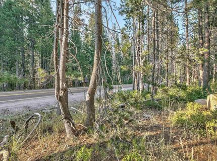 51357 Donner Pass Road , Soda Springs, CA 95728 Photo