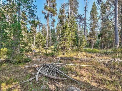 51357 Donner Pass Road , Soda Springs, CA 95728 Photo