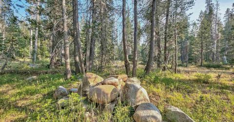 51357 Donner Pass Road , Soda Springs, CA 95728 Photo