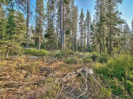 51357 Donner Pass Road , Soda Springs, CA 95728 Photo