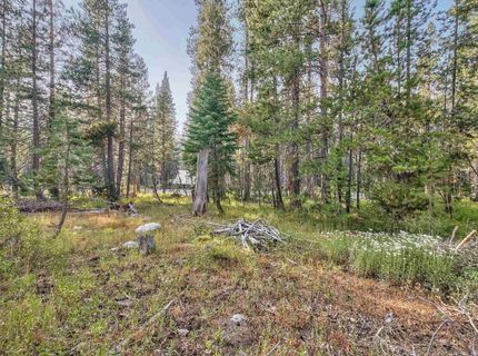 51357 Donner Pass Road , Soda Springs, CA 95728 Photo